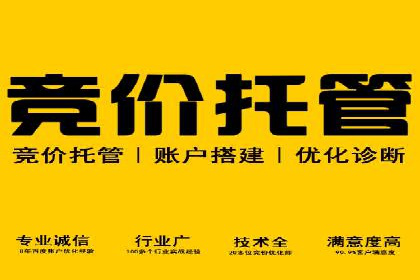 SEM代运营案例：行业领军企业实践